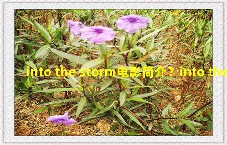 into the storm电影简介？into the storm 电影